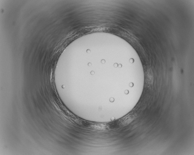 X0000053000118200507291652