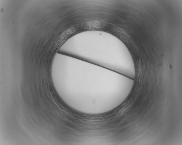 X0000053000123200507291652