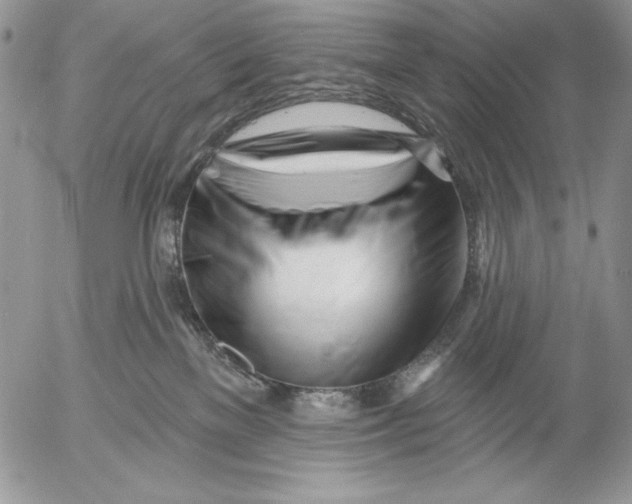 X0000053000137200507291652