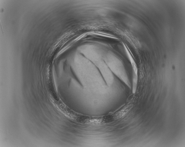 X0000053000163200507291651