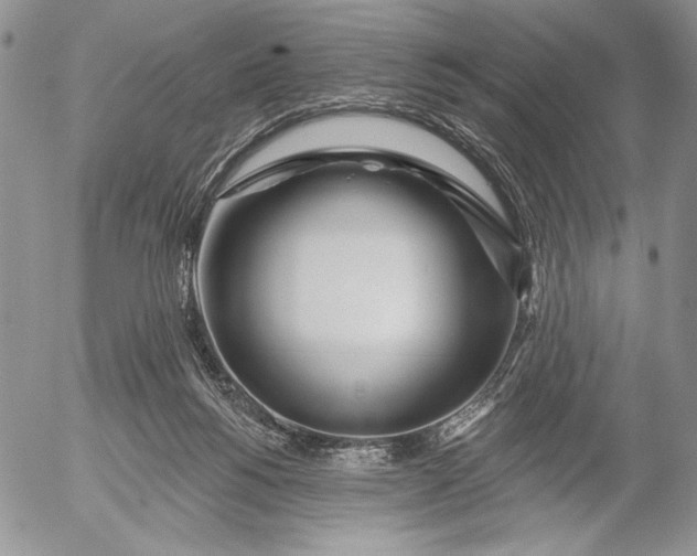 X0000053000168200507291651