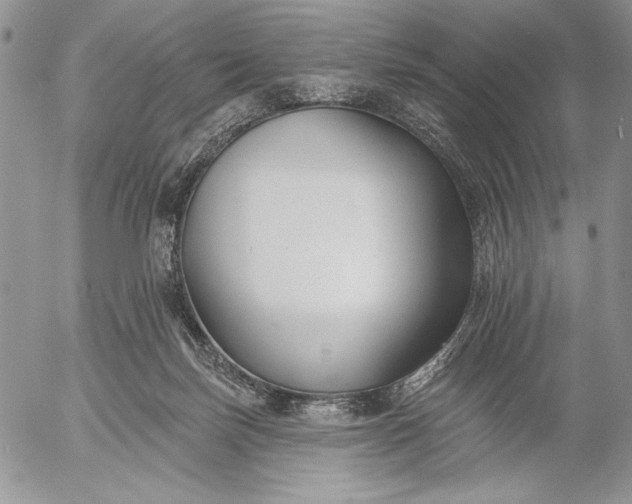X0000053000171200507291651