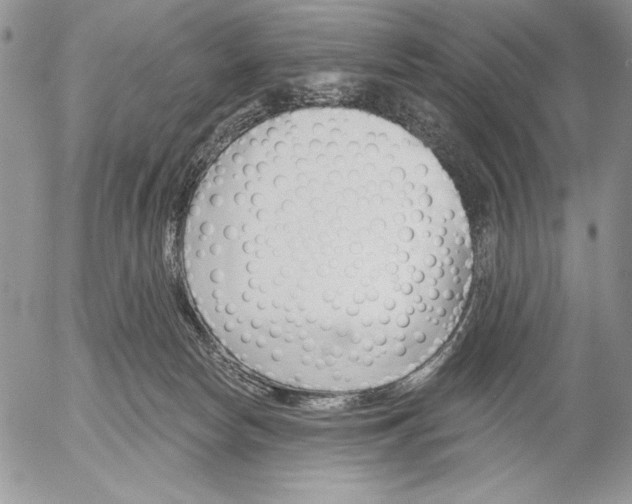 X0000053000178200507291651