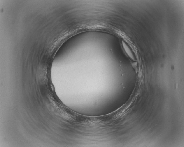 X0000053000201200507291651