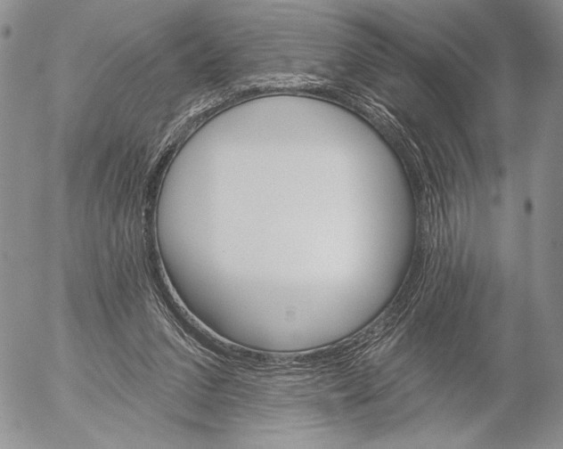 X0000053000207200507291651