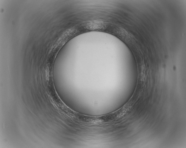X0000053000210200507291651