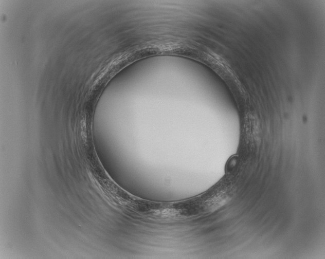 X0000053000212200507291651