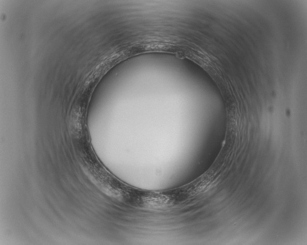 X0000053000215200507291651