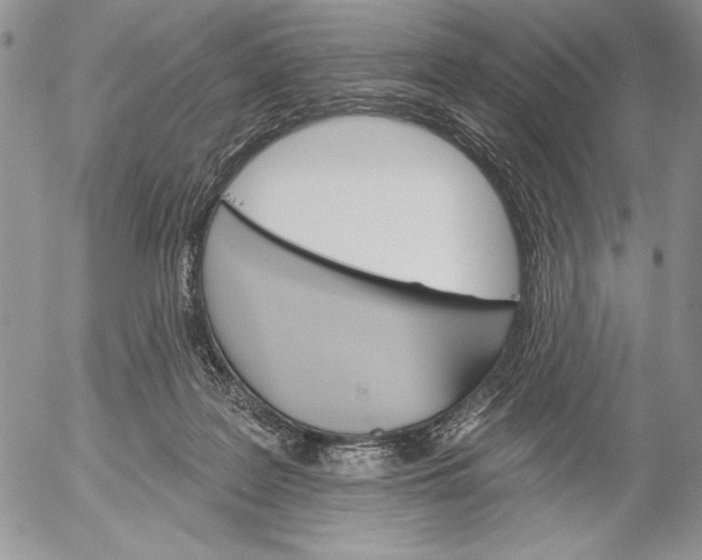 X0000053000219200507291650