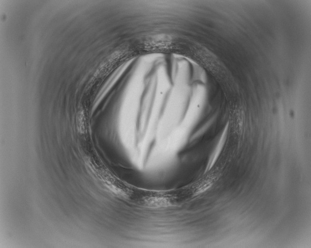 X0000053000224200507291650