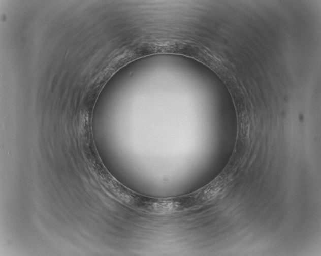 X0000053000225200507291650