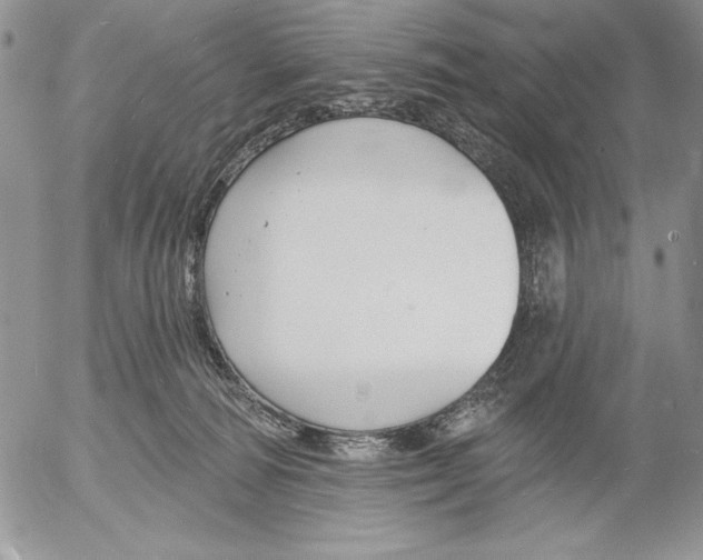 X0000053000226200507291650