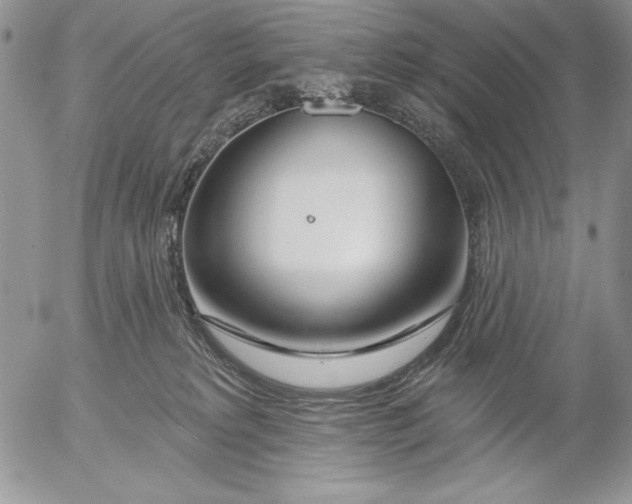 X0000053000229200507291650