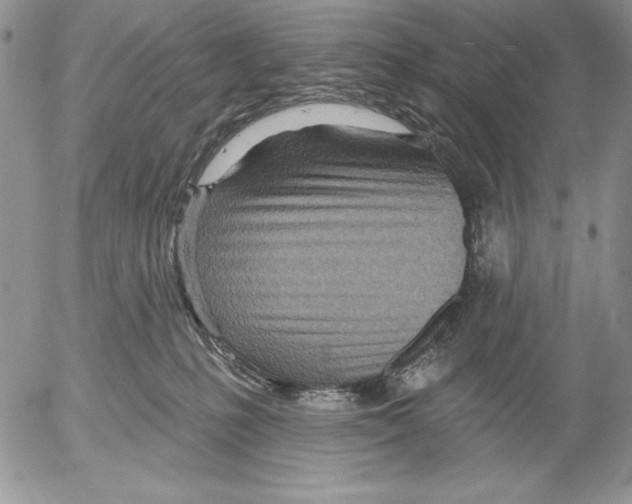 X0000053000231200507291650