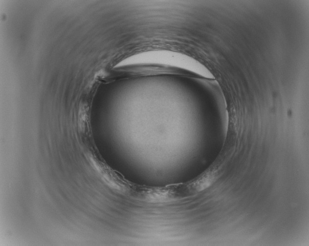 X0000053000235200507291650