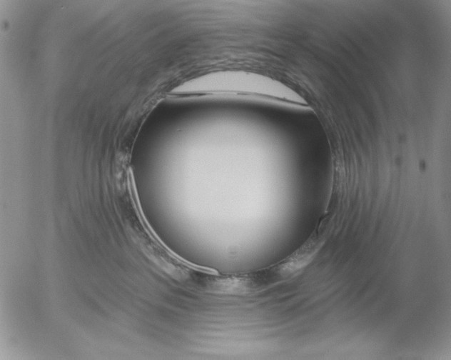X0000053000237200507291650