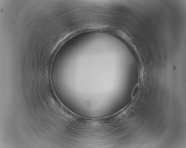 X0000053000249200507291649