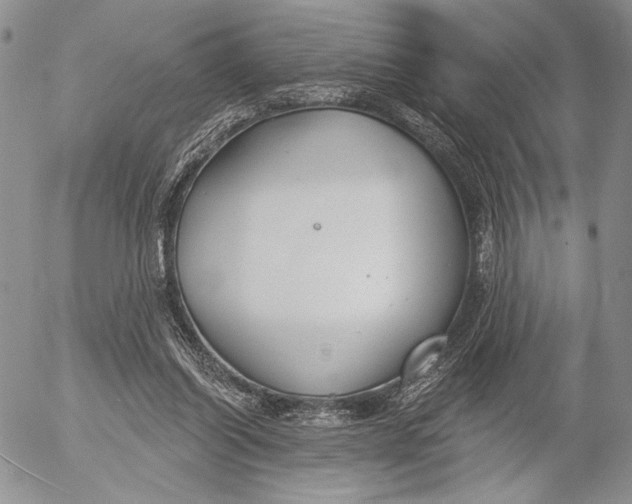 X0000053000254200507291650