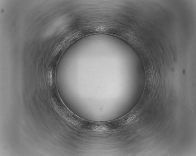X0000053000262200507291650