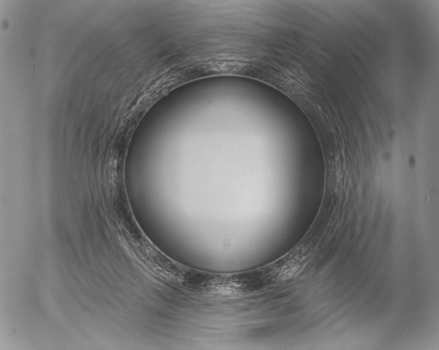 X0000053000263200507291650