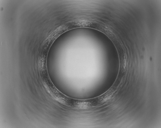 X0000053000268200507291650