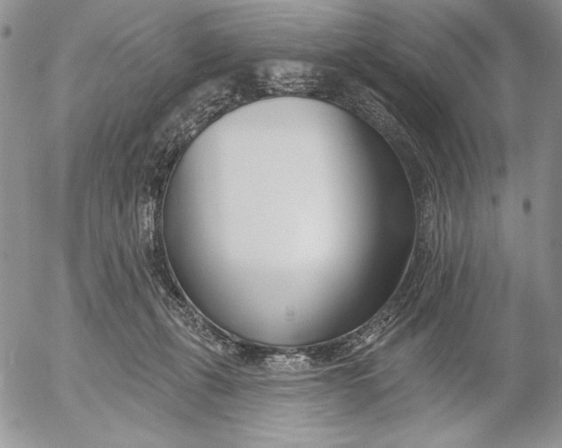 X0000053000271200507291650