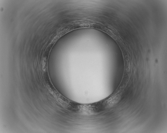 X0000053000273200507291650