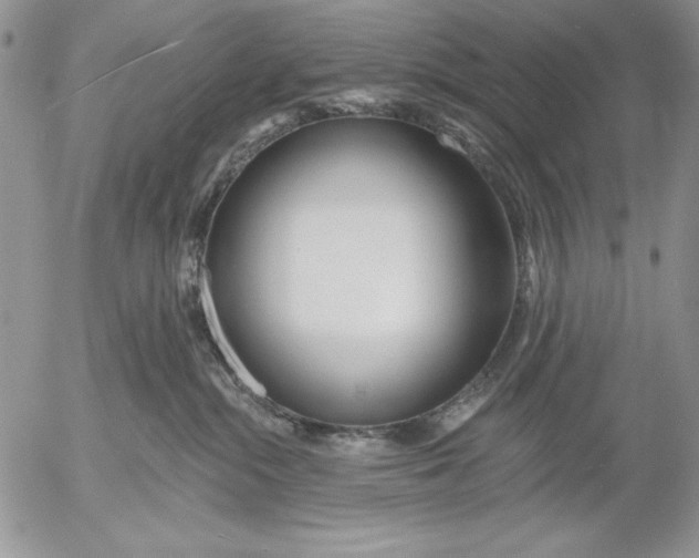 X0000053000284200507291650