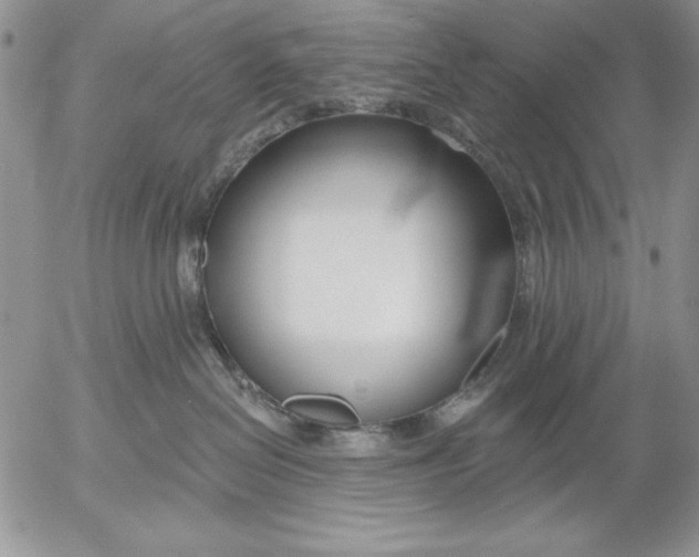 X0000053000286200507291650