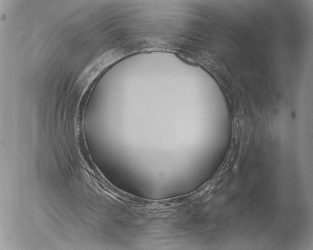 X0000053000290200507291649