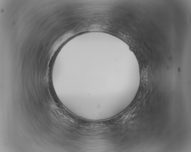 X0000053000292200507291649