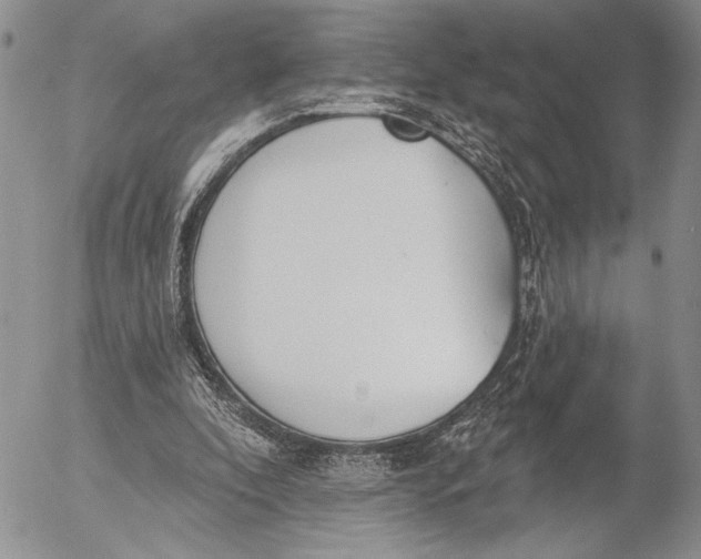 X0000053000296200507291649
