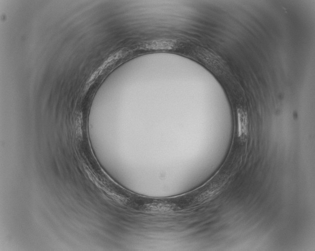 X0000053000300200507291649