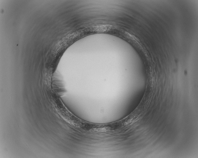 X0000053000307200507291649