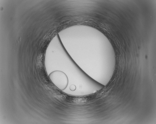 X0000053000319200507291649