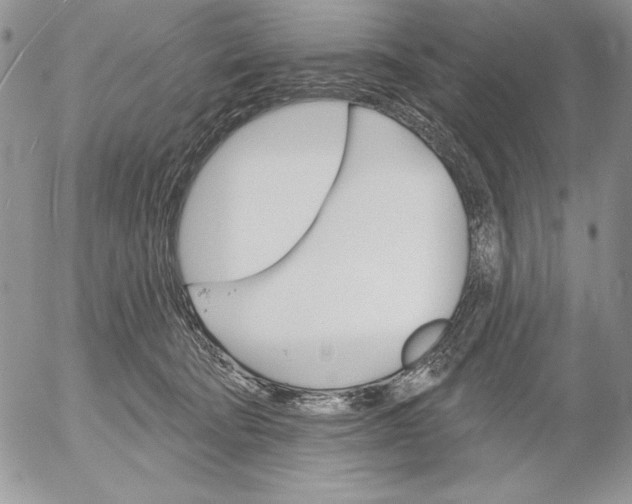 X0000053000322200507291649