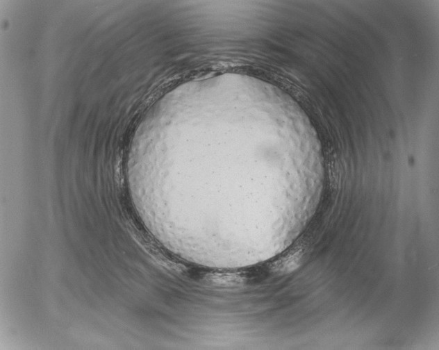 X0000053000327200507291649