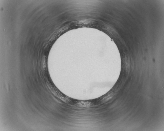 X0000053000328200507291649