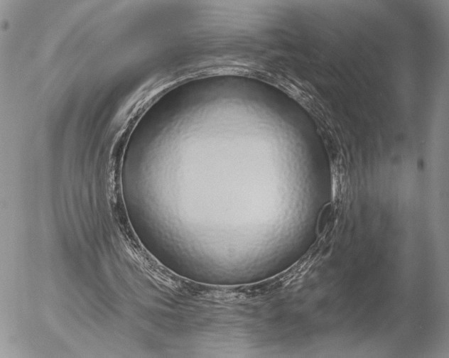 X0000053000339200507291648