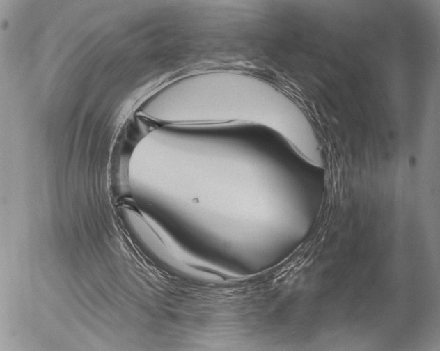 X0000053000340200507291648