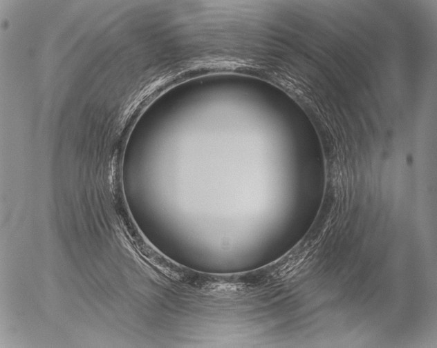 X0000053000352200507291648