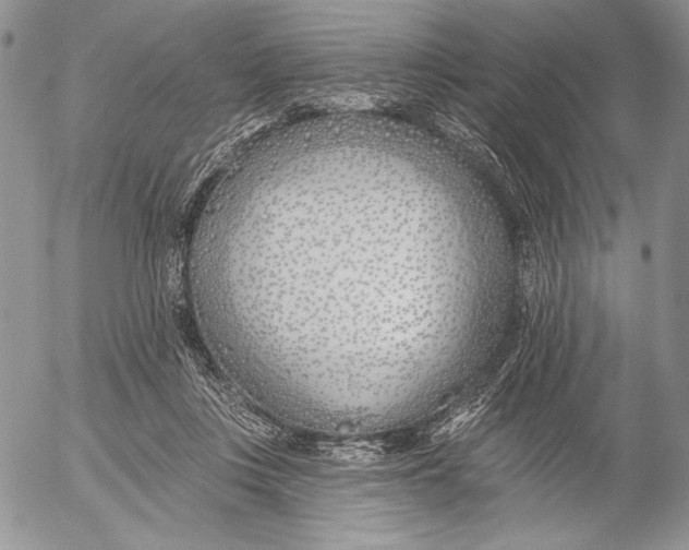 X0000053000359200507291648