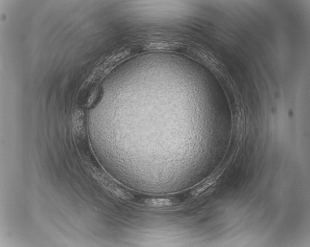 X0000053000361200507291648