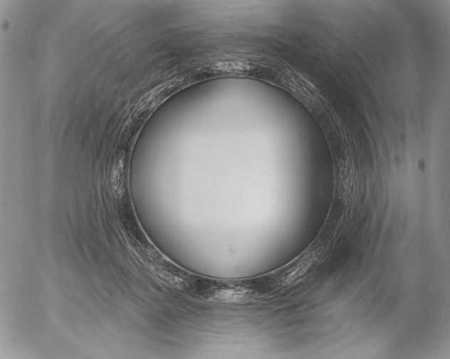 X0000053000364200507291648