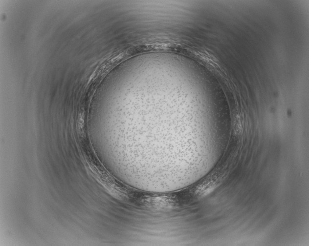 X0000053000365200507291648