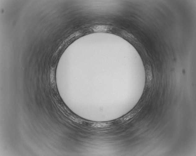 X0000053000367200507291648