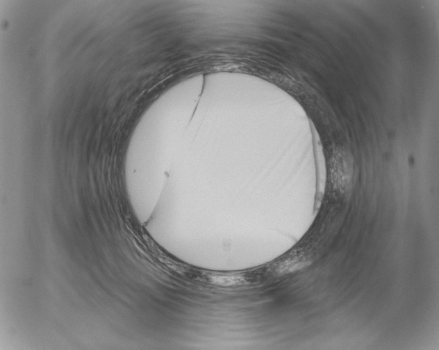 X0000053000371200507291648