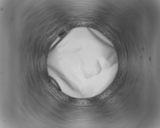 X0000053000376200507291648