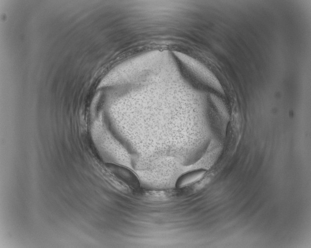 X0000053000381200507291648