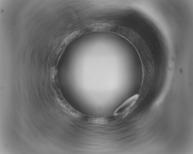 X0000053000383200507291648